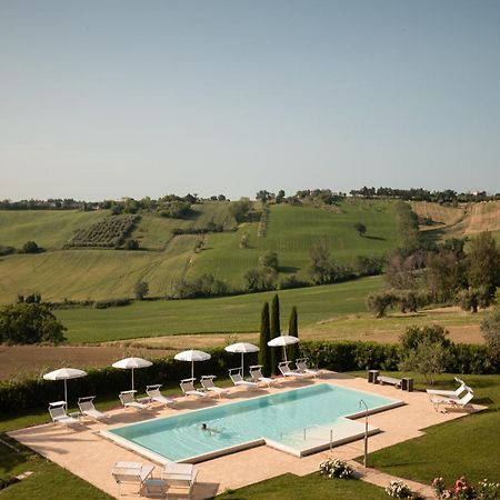 Poggio Antico Apartment Monte San Vito ภายนอก รูปภาพ