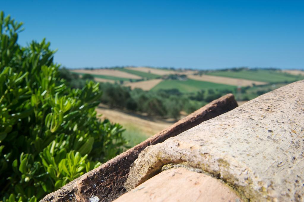 Poggio Antico Apartment Monte San Vito ภายนอก รูปภาพ