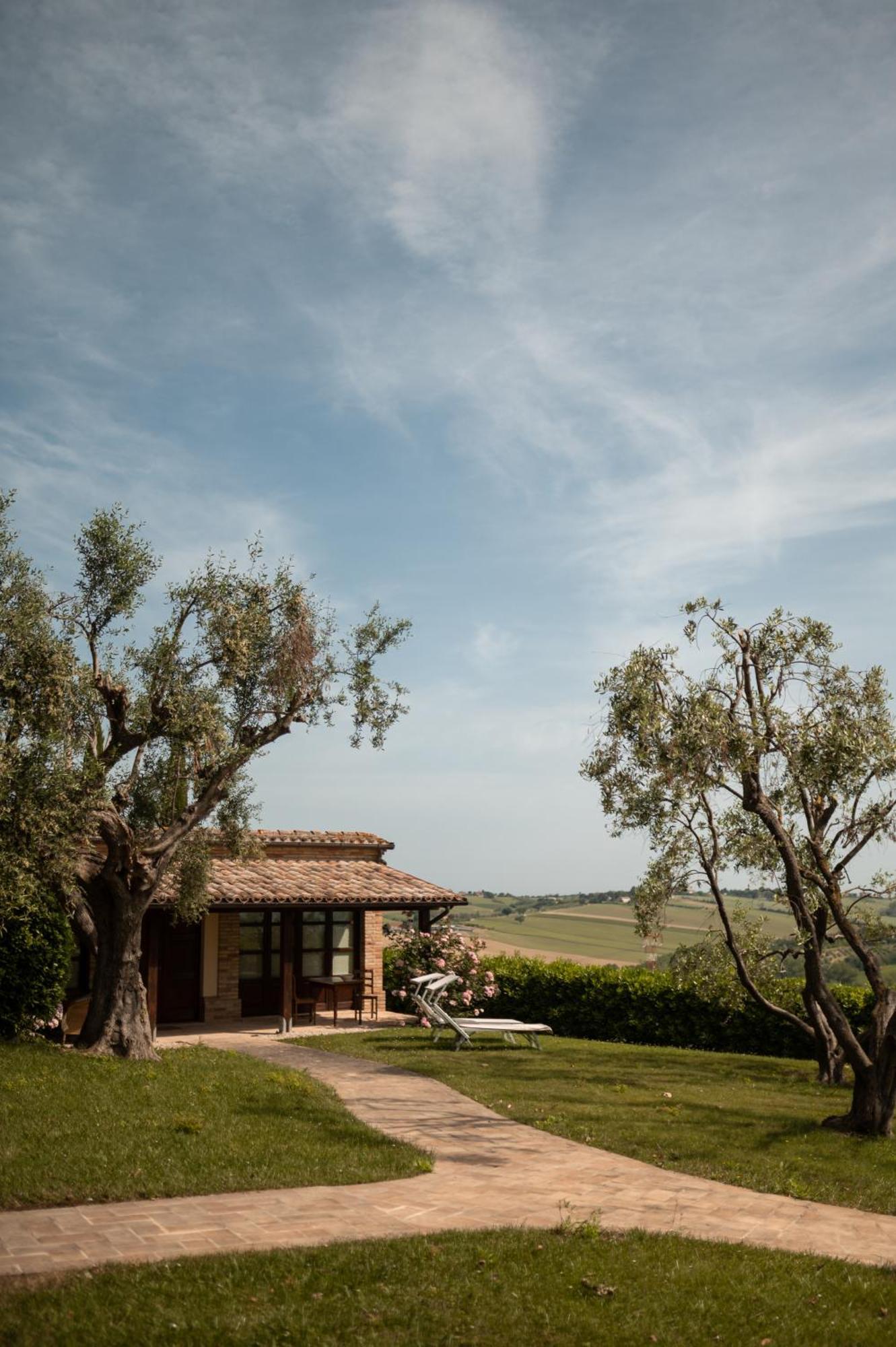 Poggio Antico Apartment Monte San Vito ภายนอก รูปภาพ