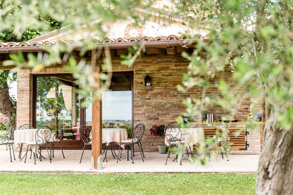Poggio Antico Apartment Monte San Vito ภายนอก รูปภาพ