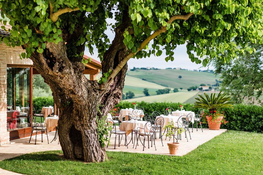 Poggio Antico Apartment Monte San Vito ภายนอก รูปภาพ