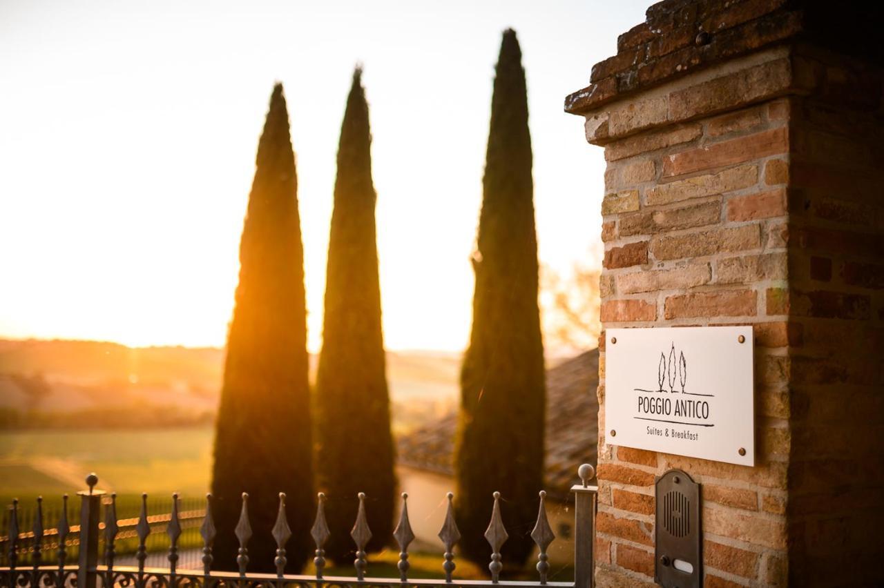 Poggio Antico Apartment Monte San Vito ภายนอก รูปภาพ